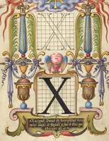 Picture 50 of 112 from Mira calligraphiae monumenta (1561), leaf 81
