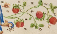 Picture 3 of 10 from Book of Hours (1460), leaf 5