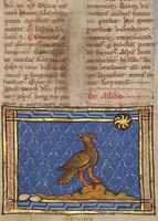 An illustration from Bestiary (1270)