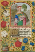 Picture 25 of 84 from Spinola Hours (1510), leaf 119