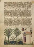 An illustration from Legenda Venerabilium Virorum Aymonis et Vermondi (1400)