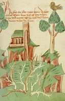 An illustration from Barlaam und Josaphat (1469)