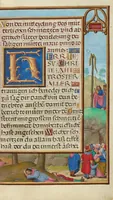 Picture 9 of 64 from Prayer Book of Cardinal Albrecht of Brandenburg (1525), leaf 17