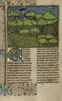 Picture 17 of 60 from Livre de la Chasse (1430), leaf 22