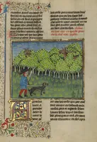 An illustration from Livre de la Chasse (1430)