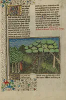 Picture 31 of 60 from Livre de la Chasse (1430), leaf 38