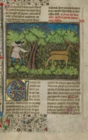 An illustration from Livre de la Chasse (1430)
