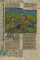 Picture 35 of 60 from Livre de la Chasse (1430), leaf 42