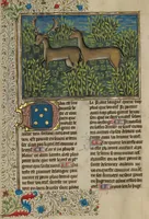 An illustration from Livre de la Chasse (1430)