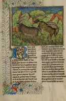 An illustration from Livre de la Chasse (1430)