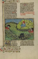 Picture 44 of 60 from Livre de la Chasse (1430), leaf 63