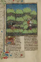 Picture 51 of 60 from Livre de la Chasse (1430), leaf 72