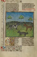 An illustration from Livre de la Chasse (1430)