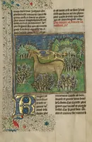 An illustration from Livre de la Chasse (1430)