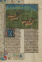 Picture 59 of 60 from Livre de la Chasse (1430), leaf 84