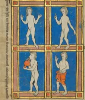 An illustration from De Natura Avium; De Pastoribus et Ovibus; Bestiarium; Mirabilia Mundi; Philosophia Mundi; On the Soul (1277)