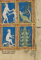Picture 11 of 15 from De Natura Avium; De Pastoribus et Ovibus; Bestiarium; Mirabilia Mundi; Philosophia Mundi; On the Soul (1277), leaf 83