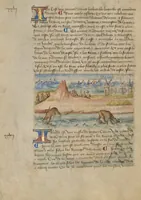 An illustration from Livre des merveilles du monde (Book of the Marvels of the World) (1460)