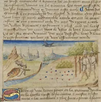 An illustration from Livre des merveilles du monde (Book of the Marvels of the World) (1460)