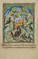 An illustration from Illustrated Vita Christi, with devotional supplements (1190)