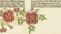 An illustration from Bible (1450)
