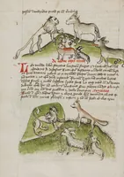 An illustration from Fables; Exemplum de Tribus Latronibus; Defensio Curatorum Adversus Fratres Mendicantes, 1357; De Balsamo (Ch. 7 of De Mirabilibus); homilies on the Gospel of Luke; De septem sacramentis; and others (1450)
