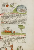 An illustration from Fables; Exemplum de Tribus Latronibus; Defensio Curatorum Adversus Fratres Mendicantes, 1357; De Balsamo (Ch. 7 of De Mirabilibus); homilies on the Gospel of Luke; De septem sacramentis; and others (1450)