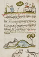 An illustration from Fables; Exemplum de Tribus Latronibus; Defensio Curatorum Adversus Fratres Mendicantes, 1357; De Balsamo (Ch. 7 of De Mirabilibus); homilies on the Gospel of Luke; De septem sacramentis; and others (1450)