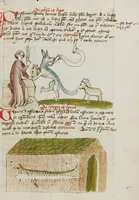 An illustration from Fables; Exemplum de Tribus Latronibus; Defensio Curatorum Adversus Fratres Mendicantes, 1357; De Balsamo (Ch. 7 of De Mirabilibus); homilies on the Gospel of Luke; De septem sacramentis; and others (1450)