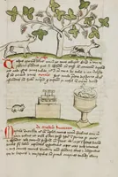 Picture 16 of 25 from Fables; Exemplum de Tribus Latronibus; Defensio Curatorum Adversus Fratres Mendicantes, 1357; De Balsamo (Ch. 7 of De Mirabilibus); homilies on the Gospel of Luke; De septem sacramentis; and others (1450), leaf 72