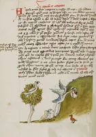 An illustration from Fables; Exemplum de Tribus Latronibus; Defensio Curatorum Adversus Fratres Mendicantes, 1357; De Balsamo (Ch. 7 of De Mirabilibus); homilies on the Gospel of Luke; De septem sacramentis; and others (1450)