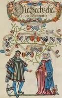 Picture 35 of 53 from Genealogy of the Derrer Family (1626), leaf 35