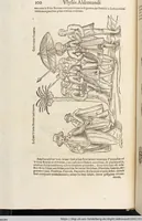 Picture 52 of 273 from Vlyssis Aldrovandi Patricii Bononiensis Monstrorvm Historia: cum Indice copiosissimo (1642), leaf 118