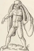 Picture 5 of 273 from Vlyssis Aldrovandi Patricii Bononiensis Monstrorvm Historia: cum Indice copiosissimo (1642), leaf 28