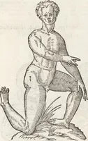 An illustration from Vlyssis Aldrovandi Patricii Bononiensis Monstrorvm Historia: cum Indice copiosissimo (1642)
