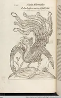 Picture 65 of 273 from Vlyssis Aldrovandi Patricii Bononiensis Monstrorvm Historia: cum Indice copiosissimo (1642), leaf 342