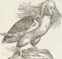 Picture 66 of 273 from Vlyssis Aldrovandi Patricii Bononiensis Monstrorvm Historia: cum Indice copiosissimo (1642), leaf 355