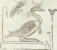Picture 72 of 273 from Vlyssis Aldrovandi Patricii Bononiensis Monstrorvm Historia: cum Indice copiosissimo (1642), leaf 363