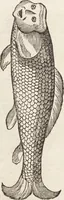 Picture 74 of 273 from Vlyssis Aldrovandi Patricii Bononiensis Monstrorvm Historia: cum Indice copiosissimo (1642), leaf 370