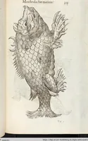 Picture 75 of 273 from Vlyssis Aldrovandi Patricii Bononiensis Monstrorvm Historia: cum Indice copiosissimo (1642), leaf 371