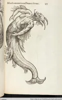 Picture 77 of 273 from Vlyssis Aldrovandi Patricii Bononiensis Monstrorvm Historia: cum Indice copiosissimo (1642), leaf 375