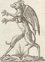 Picture 79 of 273 from Vlyssis Aldrovandi Patricii Bononiensis Monstrorvm Historia: cum Indice copiosissimo (1642), leaf 382