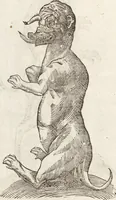 Picture 81 of 273 from Vlyssis Aldrovandi Patricii Bononiensis Monstrorvm Historia: cum Indice copiosissimo (1642), leaf 396
