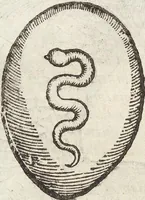 Picture 82 of 273 from Vlyssis Aldrovandi Patricii Bononiensis Monstrorvm Historia: cum Indice copiosissimo (1642), leaf 405