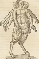 Picture 91 of 273 from Vlyssis Aldrovandi Patricii Bononiensis Monstrorvm Historia: cum Indice copiosissimo (1642), leaf 433