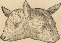 An illustration from Vlyssis Aldrovandi Patricii Bononiensis Monstrorvm Historia: cum Indice copiosissimo (1642)