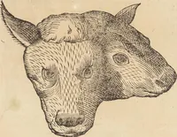 An illustration from Vlyssis Aldrovandi Patricii Bononiensis Monstrorvm Historia: cum Indice copiosissimo (1642)