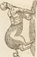 Picture 102 of 273 from Vlyssis Aldrovandi Patricii Bononiensis Monstrorvm Historia: cum Indice copiosissimo (1642), leaf 458