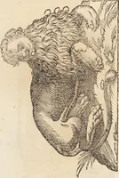 Picture 104 of 273 from Vlyssis Aldrovandi Patricii Bononiensis Monstrorvm Historia: cum Indice copiosissimo (1642), leaf 460