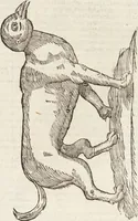 Picture 105 of 273 from Vlyssis Aldrovandi Patricii Bononiensis Monstrorvm Historia: cum Indice copiosissimo (1642), leaf 461